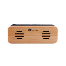 اسپیکر ProOne SK10