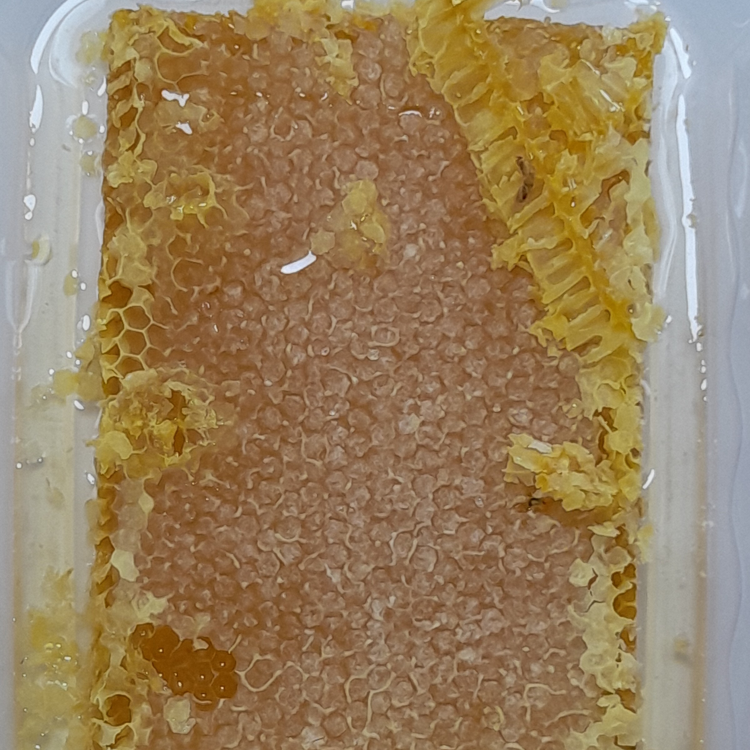 عسل چند گیاه موم دار