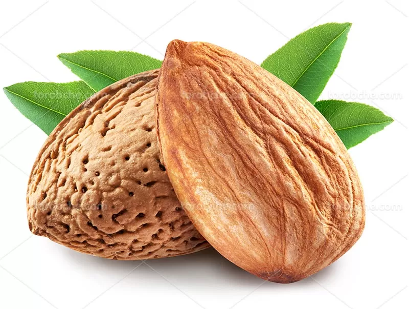 عکس بادام تازه | گرافیک با طعم تربچه