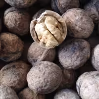 گردو ایرانی یک دست بار ممتاز