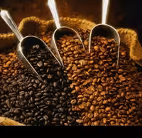 دان قهوه 80درصد ربوستا250گرمی