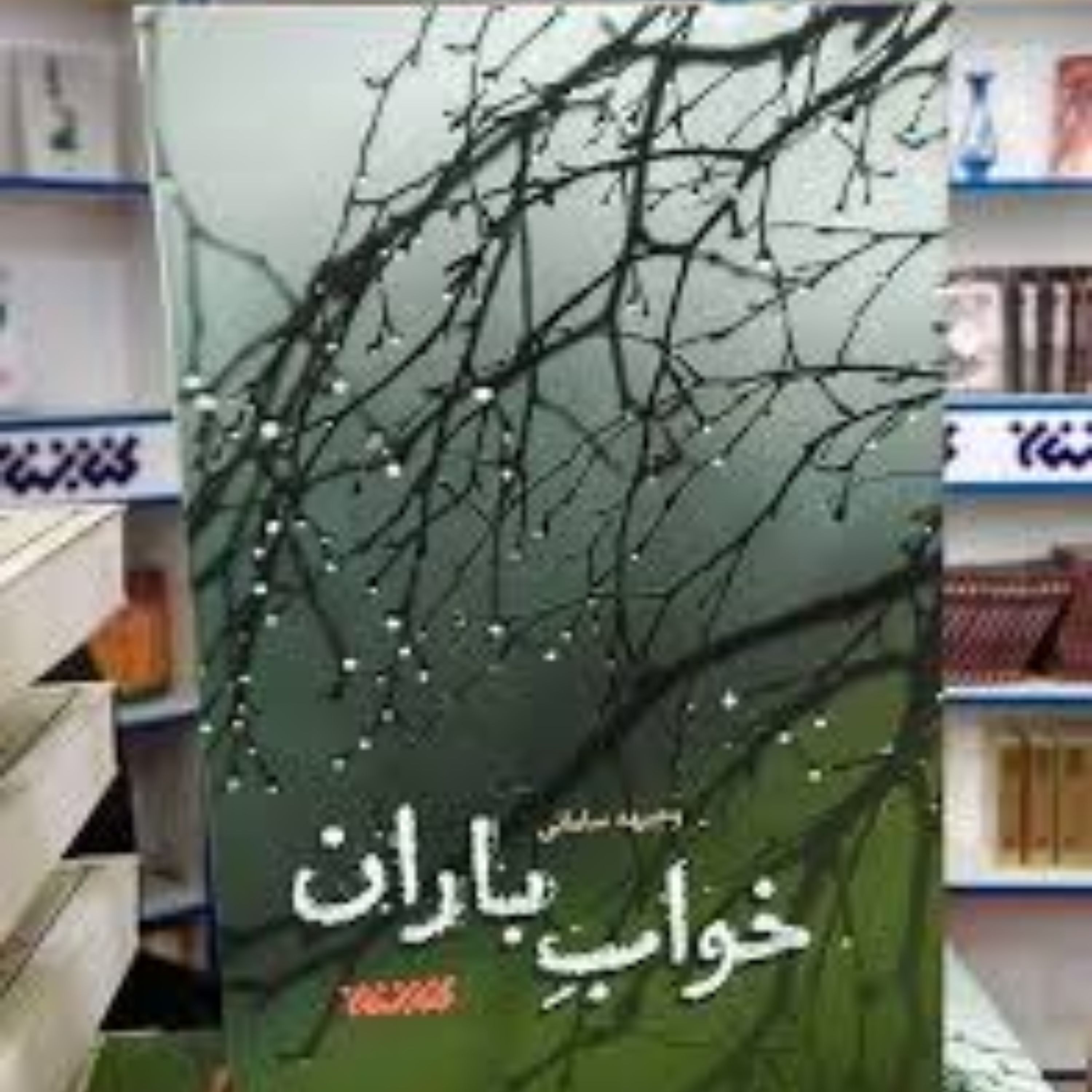 رمان خواب باران