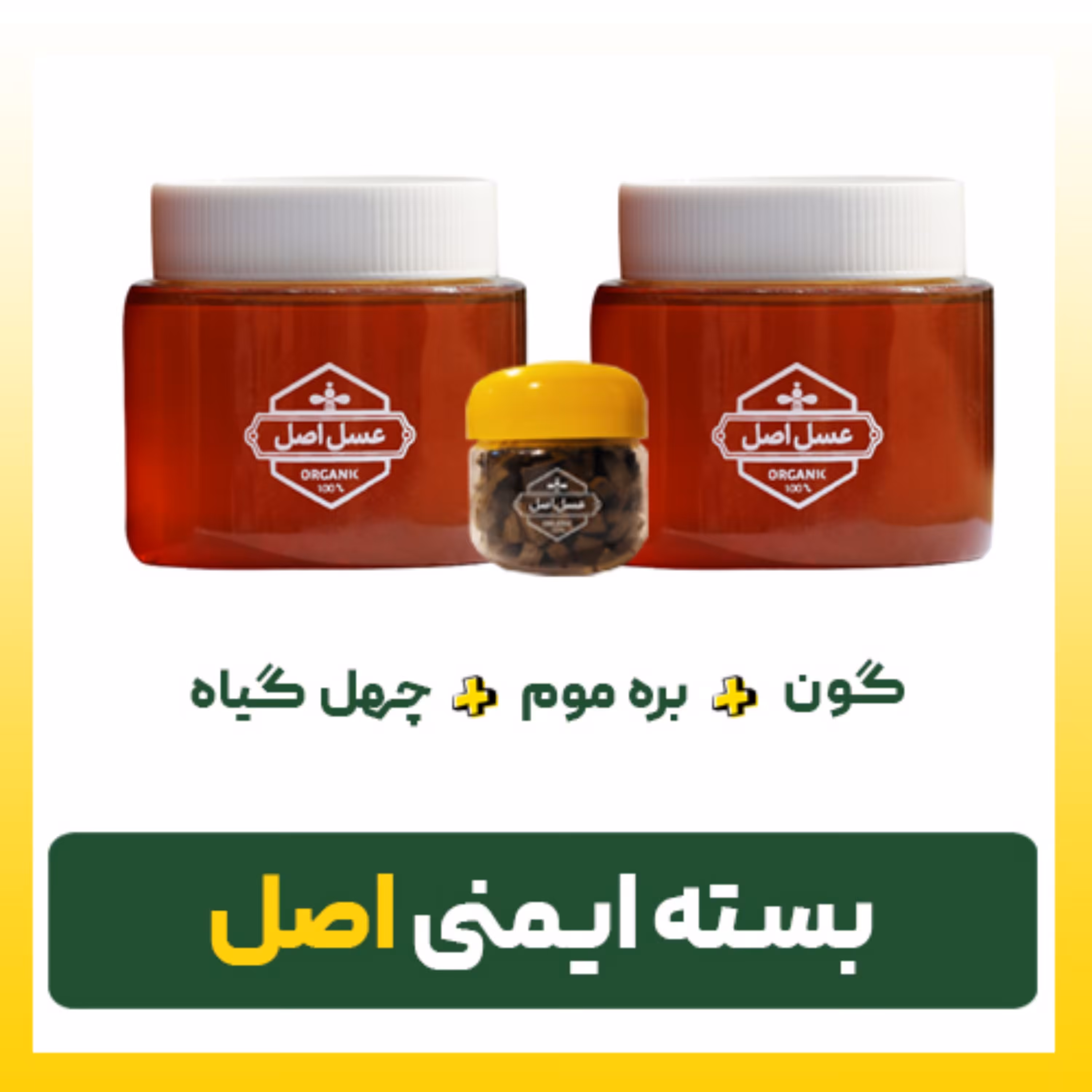 بسته ایمنی اصل (کوچک)