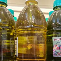 روغن زیتون رودبار