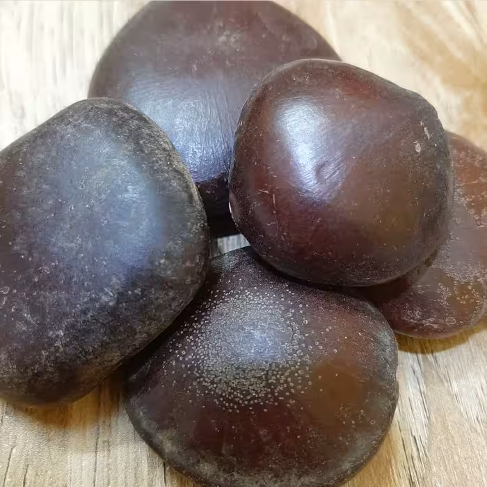 قر ص کمر (بلادر کمر) (گیاه برای کمردرد) 1 کیلویی