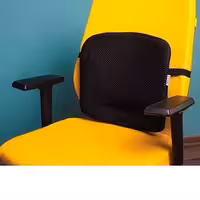 پشتی طبی ارگونومیک باراد