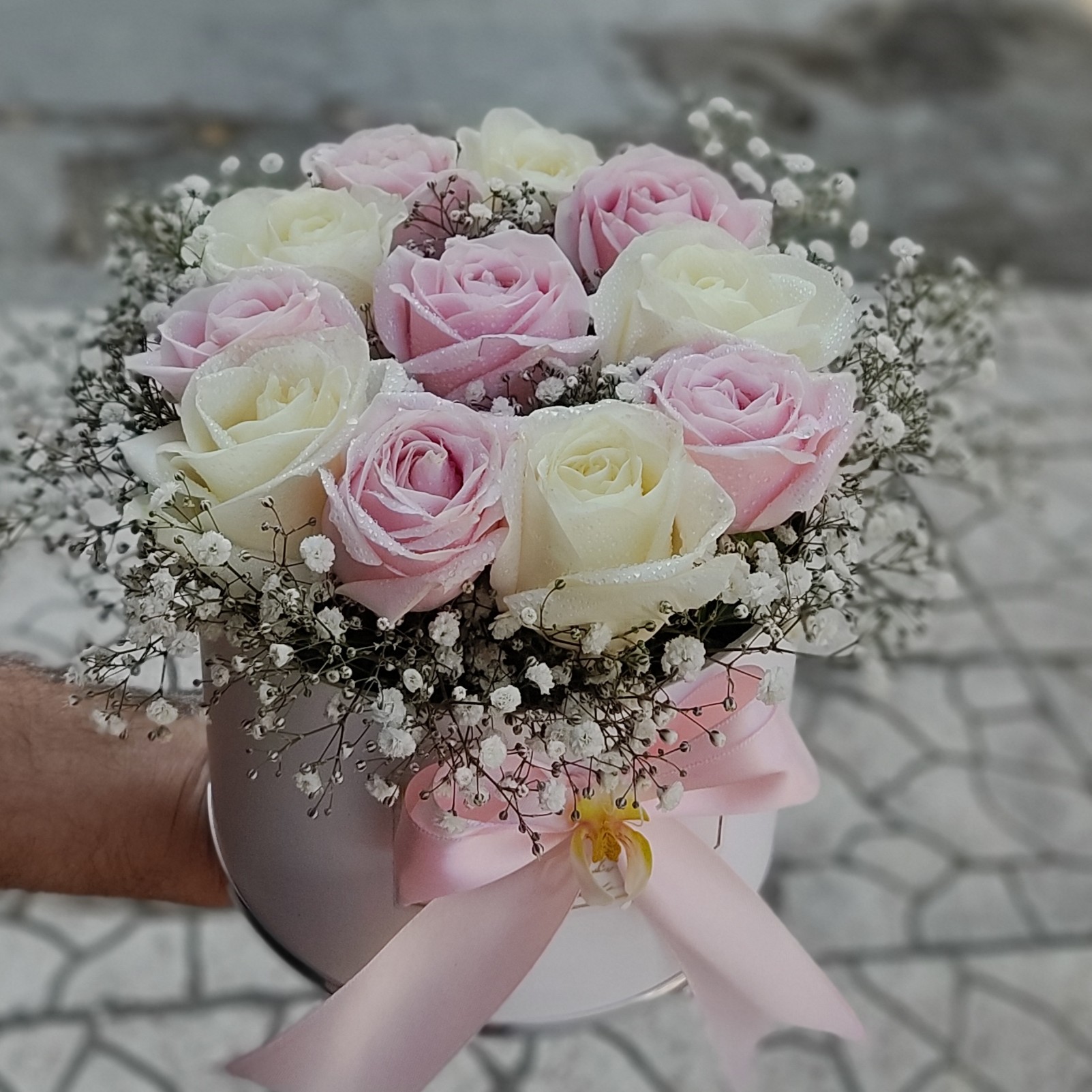 باکس گل رز هلندی