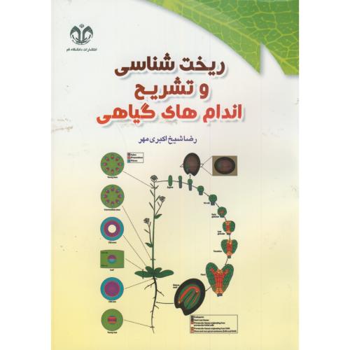 کتاب ریخت شناسی و تشریح اندام های گیاهی