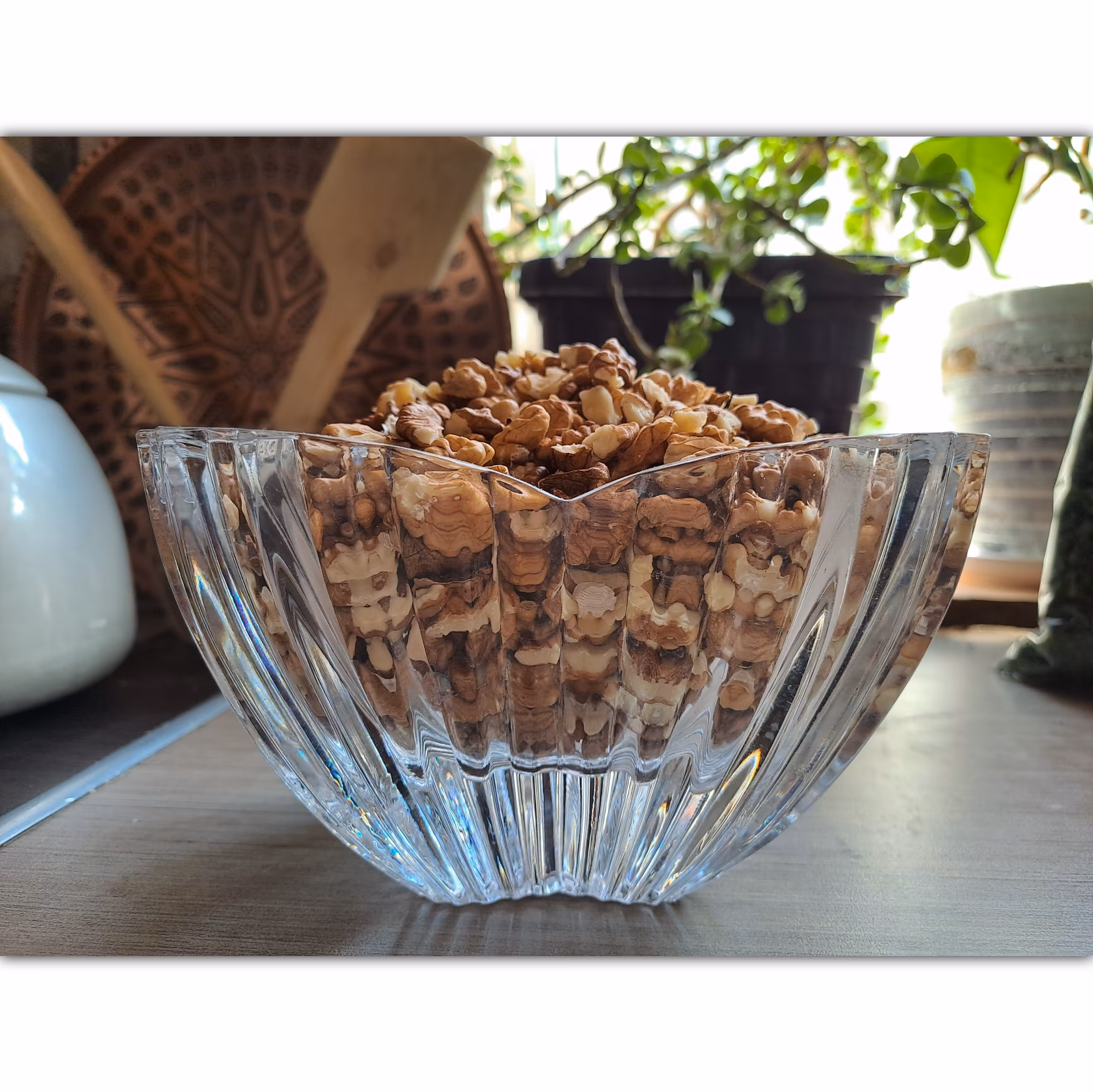 مغز گردوی الموت محصول 1401