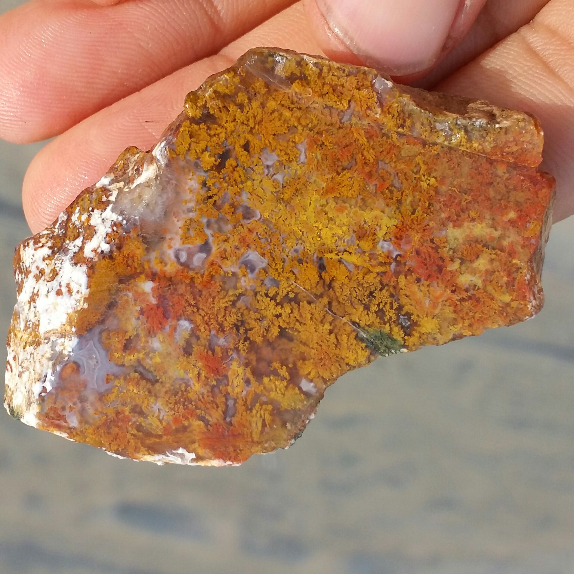 اسلایس سنگ راف عقیق شجر منظره 7رنگ بسیار دیدنی شاهکار خلقت کاملا طبیعی
نمونه ای تکرار نشدنی محشر  کد 8794