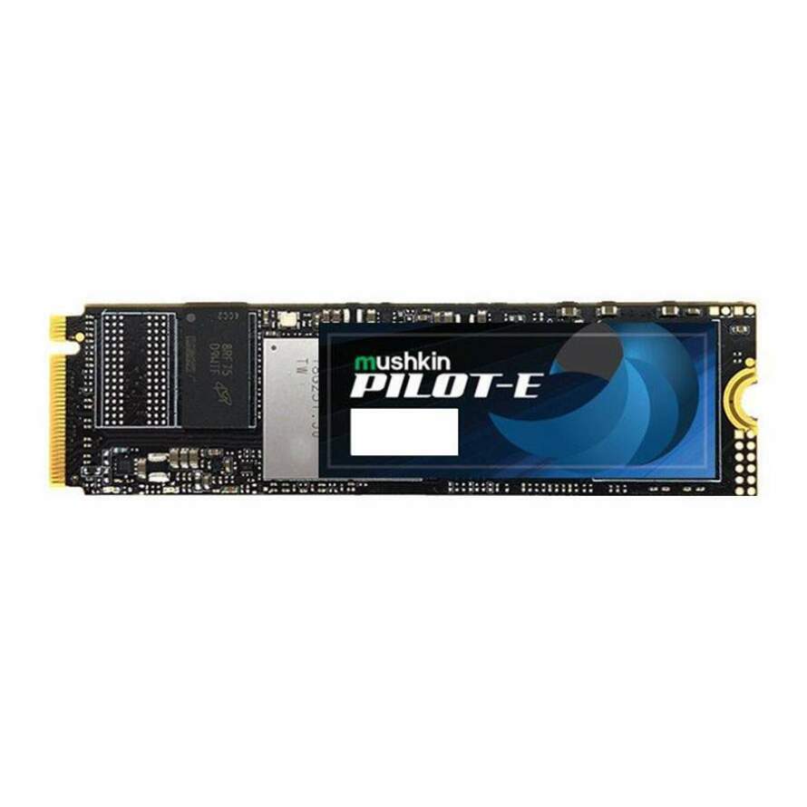 اس اس دی ماشکین PILOT-E M.2 2280 PCIe NVMe 2TB