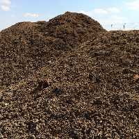 کود مرغی بومی و خانگی طبیعی (خریداریم و فروشنده)-عمده و جزئی