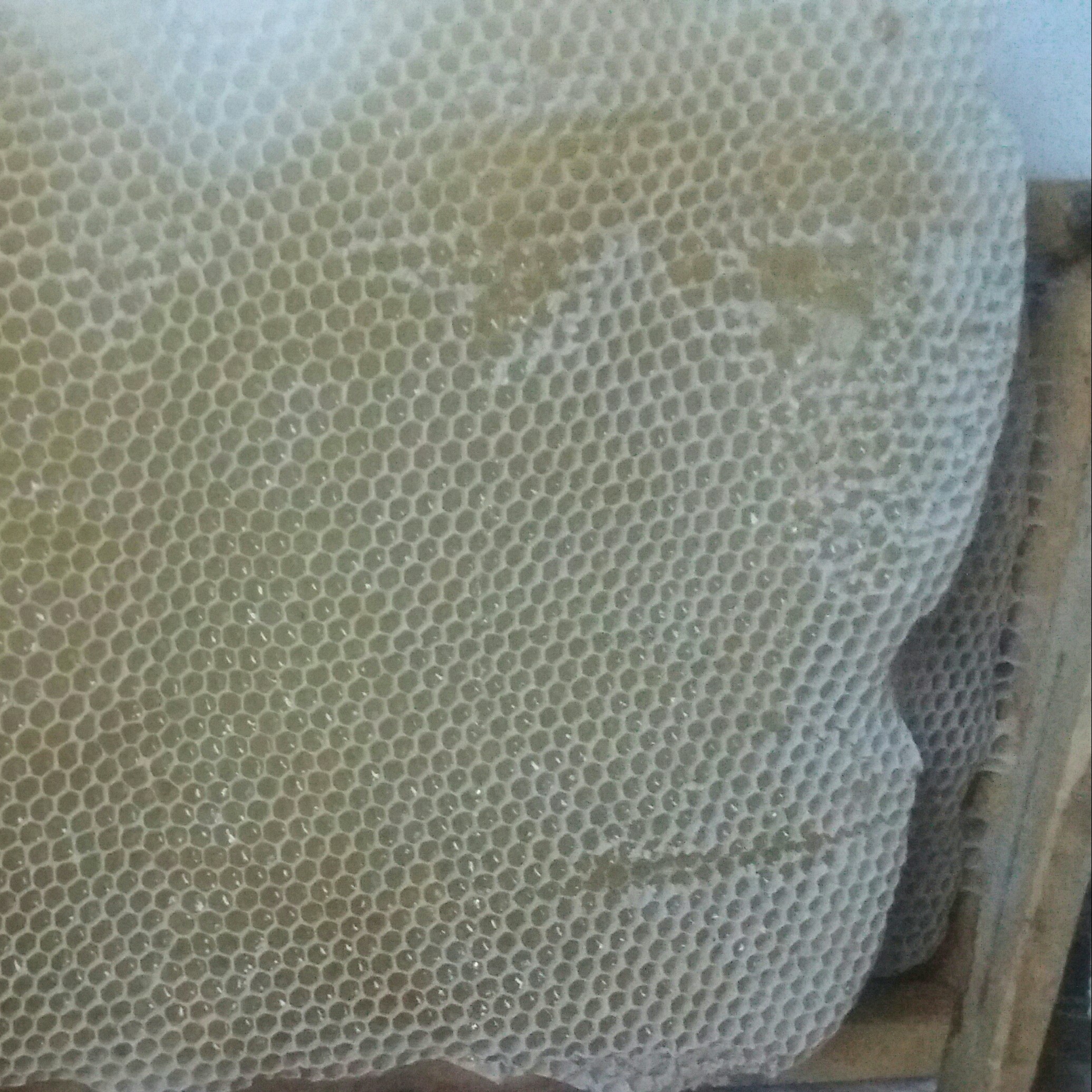 عسل خود بافت