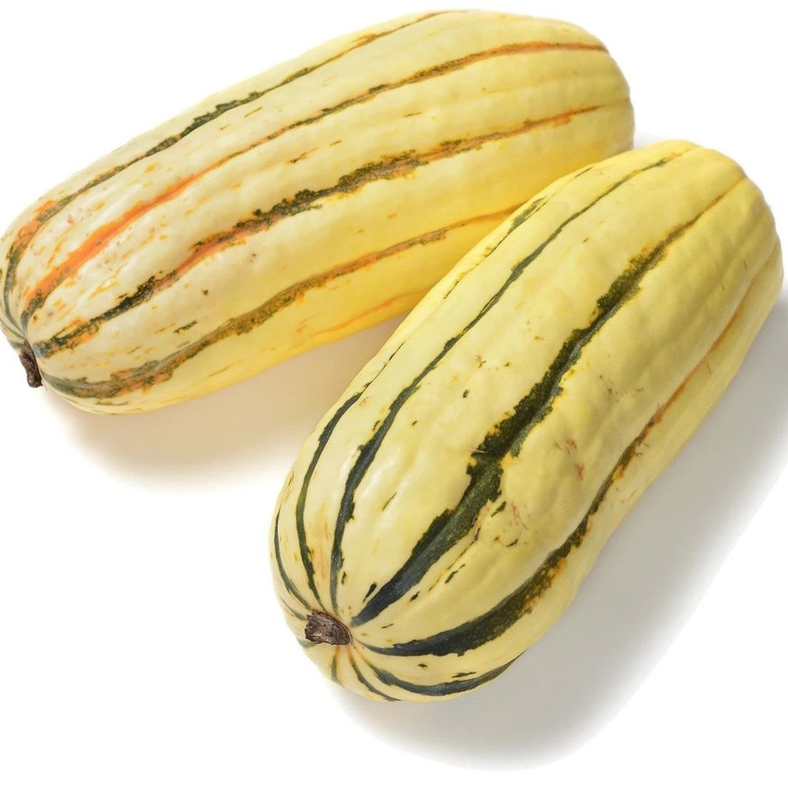 بذر کدو تنبل خوشمزه  5 عددی