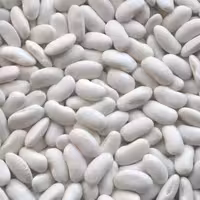 لوبیا سفید ایرانی 5کیلویی