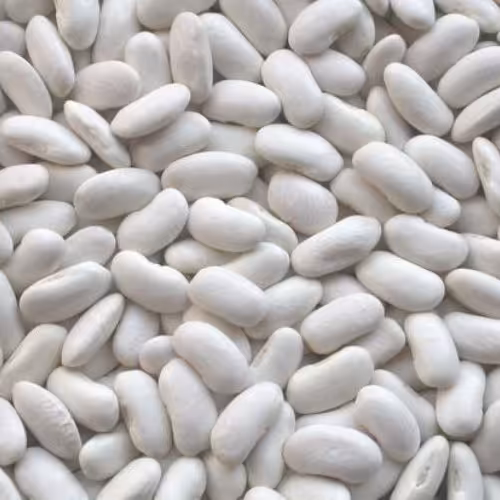 لوبیا سفید ایرانی 5کیلویی
