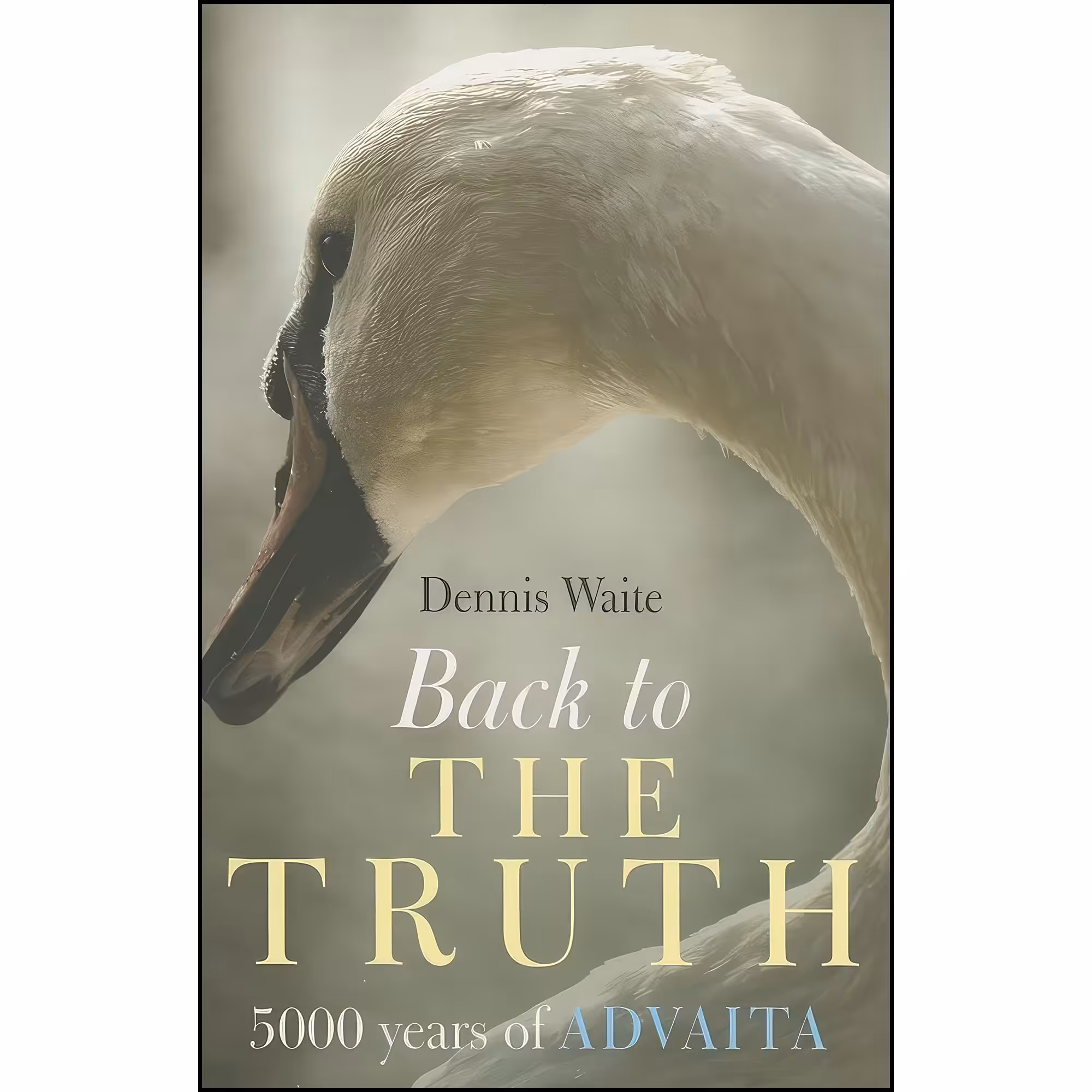 کتاب زبان اصلی Back to the Truth اثر Dennis Waite انتشارات Mantra Books