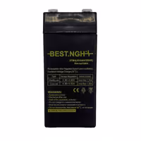باتری یو پی اس 4 ولت 4 آمپر ساعت بست ان جی اچ مدل 4V4AH20HR