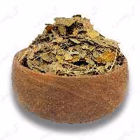 جینکو کیلویی