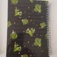          پلنر یا دفتر برنامه ریزی  در دوطرح کاکتوس و بستنی