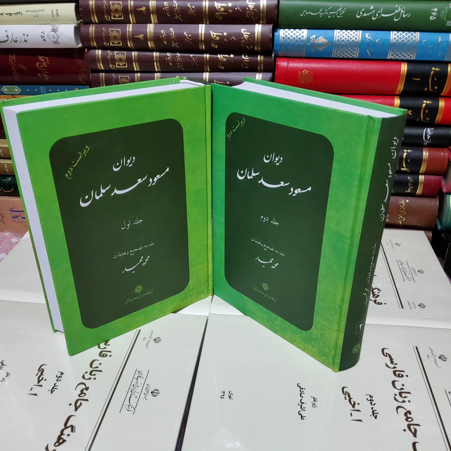 دیوان مسعود سعد سلمان(دو جلدی)