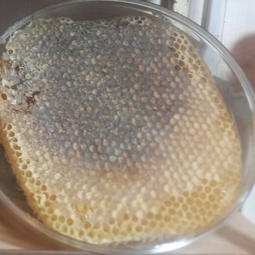 عسل سبدی با موم طبیعی