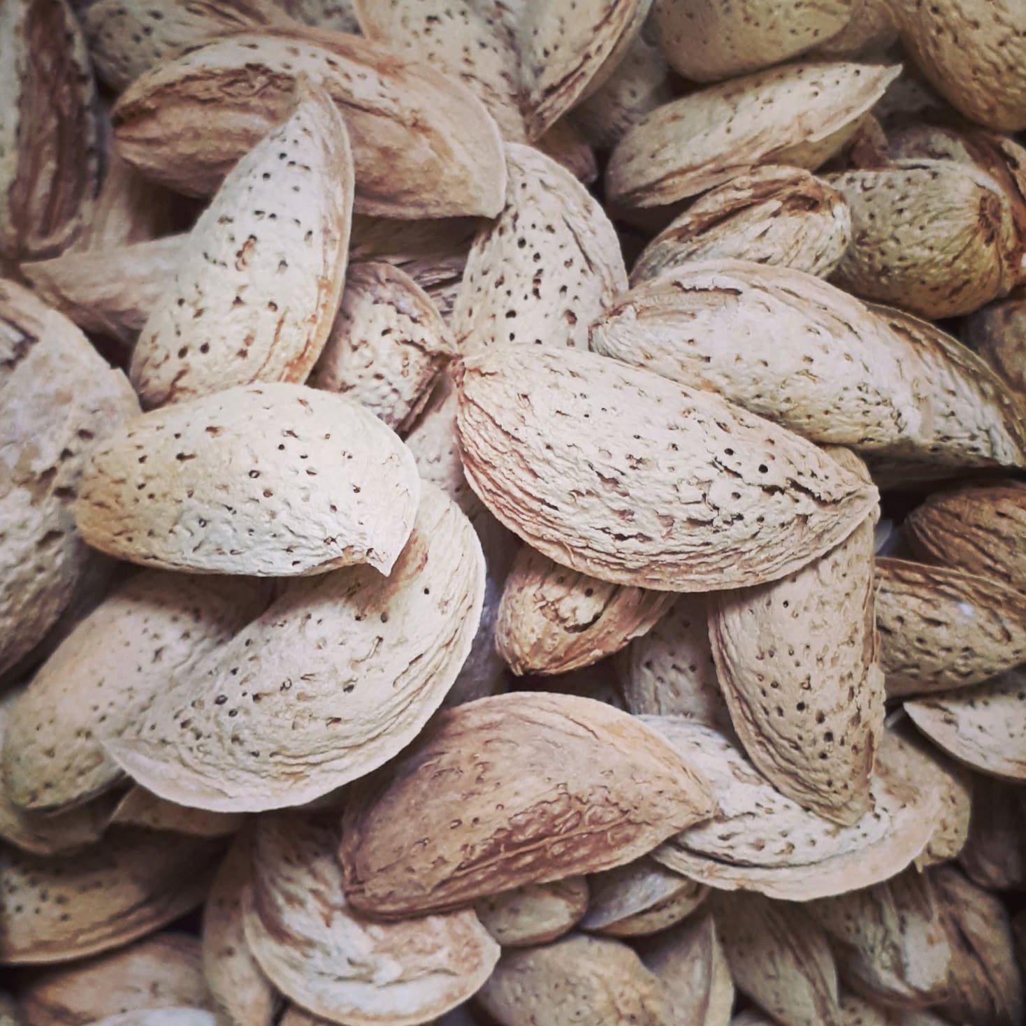 بادام منقا درجه یک ایرانی(500گرمی)
