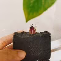 صابون  ضدجوش ذغال اکتیو 100درصد گیاهی