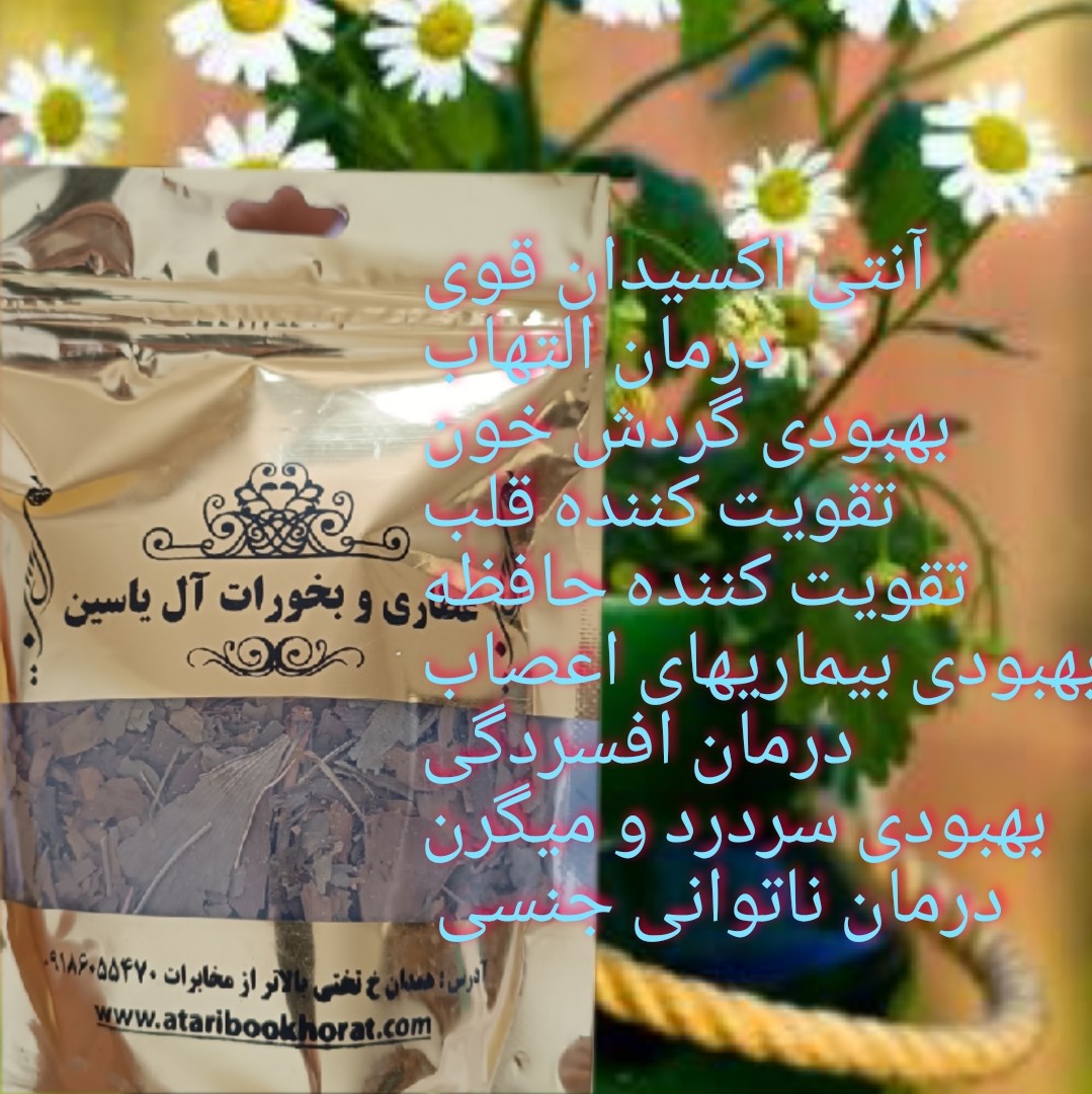  گیاه جینکوبیلوبا 