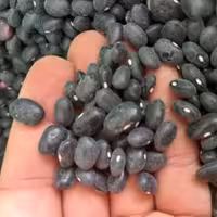 لوبیا سیاه دو هزار گرم درجه یک