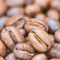 قهوه پی بی(PB)250گرم