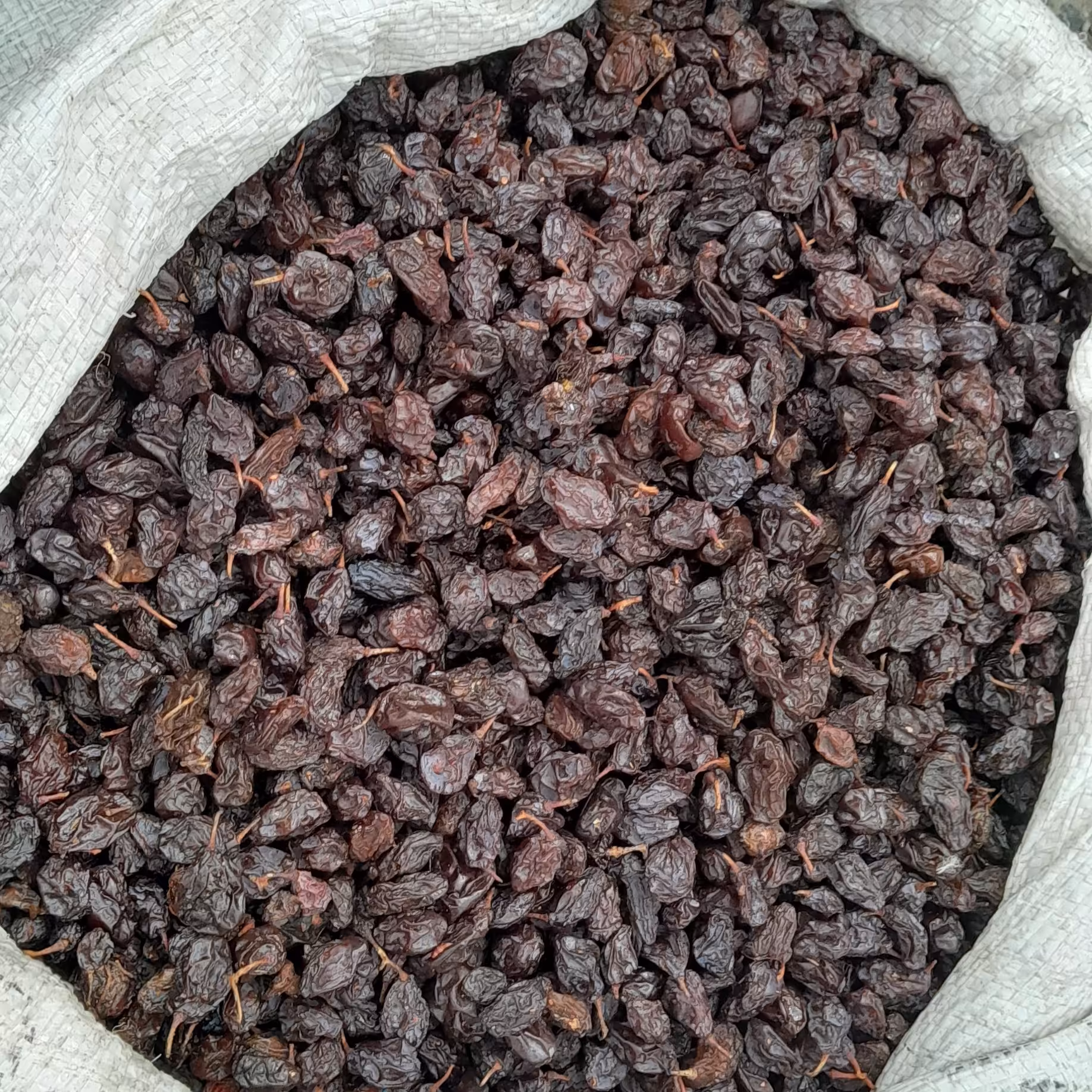 مویز دانه دار آفتابی 900 گرم