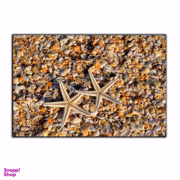 تابلو شاسی بکلیت طرح آبزیان ستاره دریایی مدل SH-7474