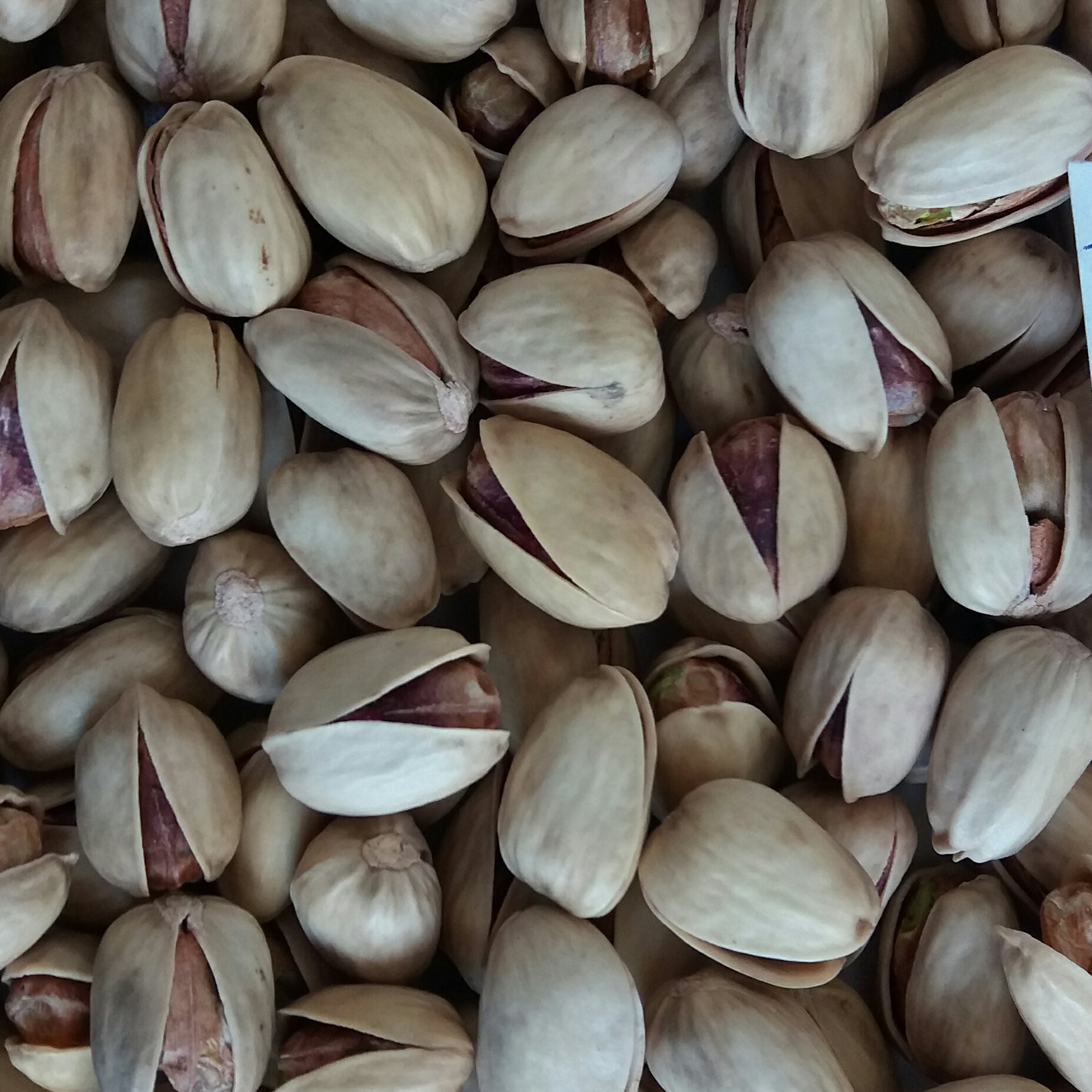 پسته کله قوچی خندان 24-26 (10 کیلوئی )