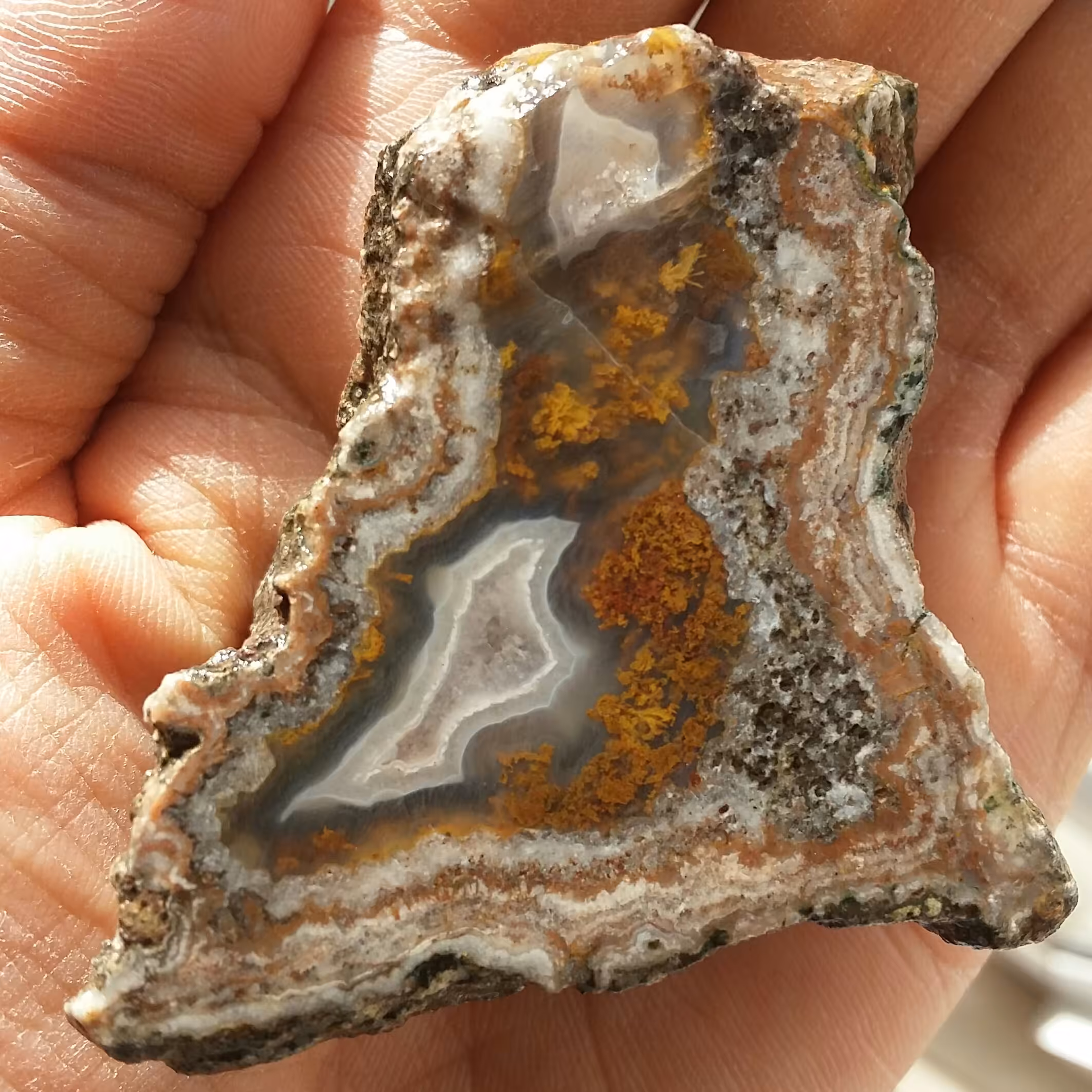 اسلایس سنگ راف شجر دریایی منظره 7رنگ 100 در 100 طبیعی شااااهکار خلقت