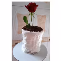 کیک گلدانی 1500 گرمی