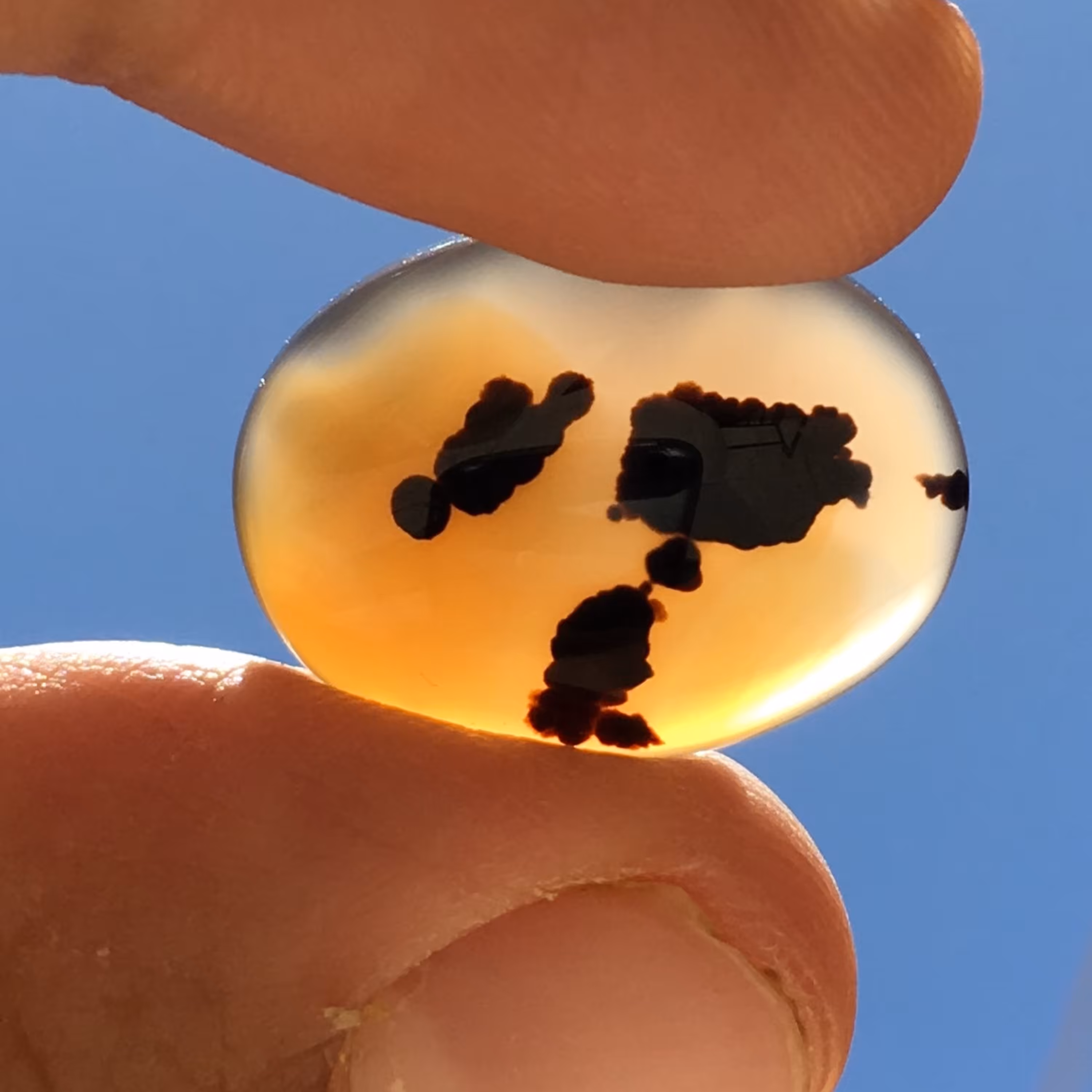 نگین شجر دودی مصور برزیلی