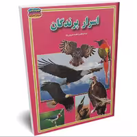 کتاب اسرار پرندگان اثر فاطمه سروش راد انتشارات حباب