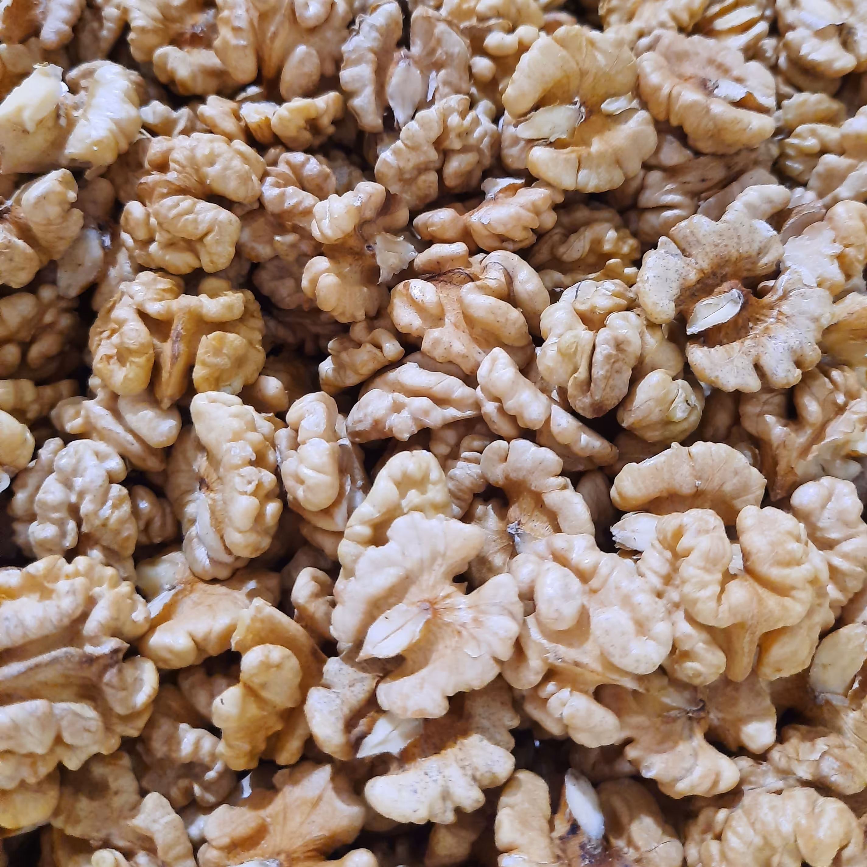 3 کیلو مغز گردوی درجه یک سفید تویسرکان پرچرب و ارگانیک