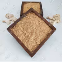 زنجبیل پودر ( پودر زنجبیل ) یک کیلویی گیاهینو