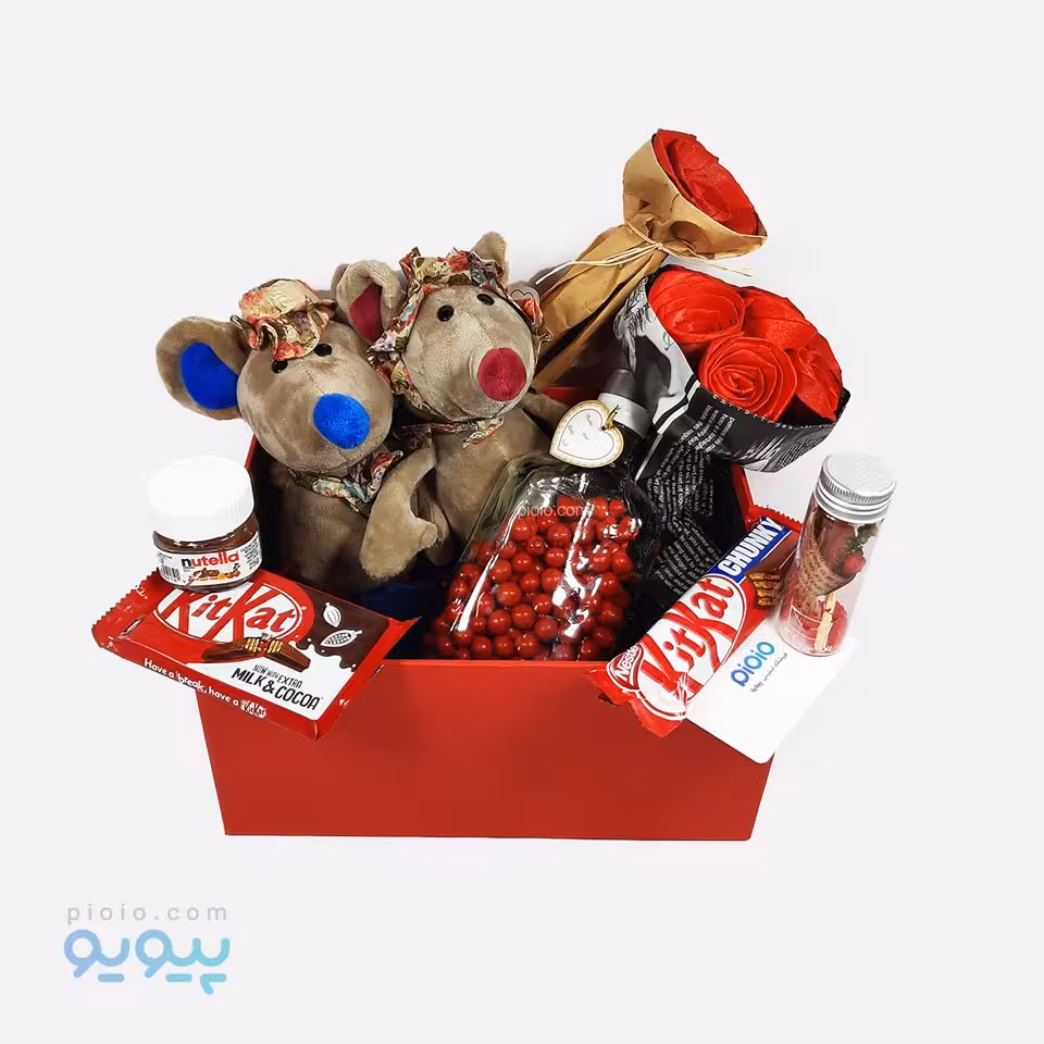 باکس کادوی آماده ولنتاین با عروسک موش خانوم و آقا