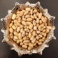 سویا آجیلی نمکی