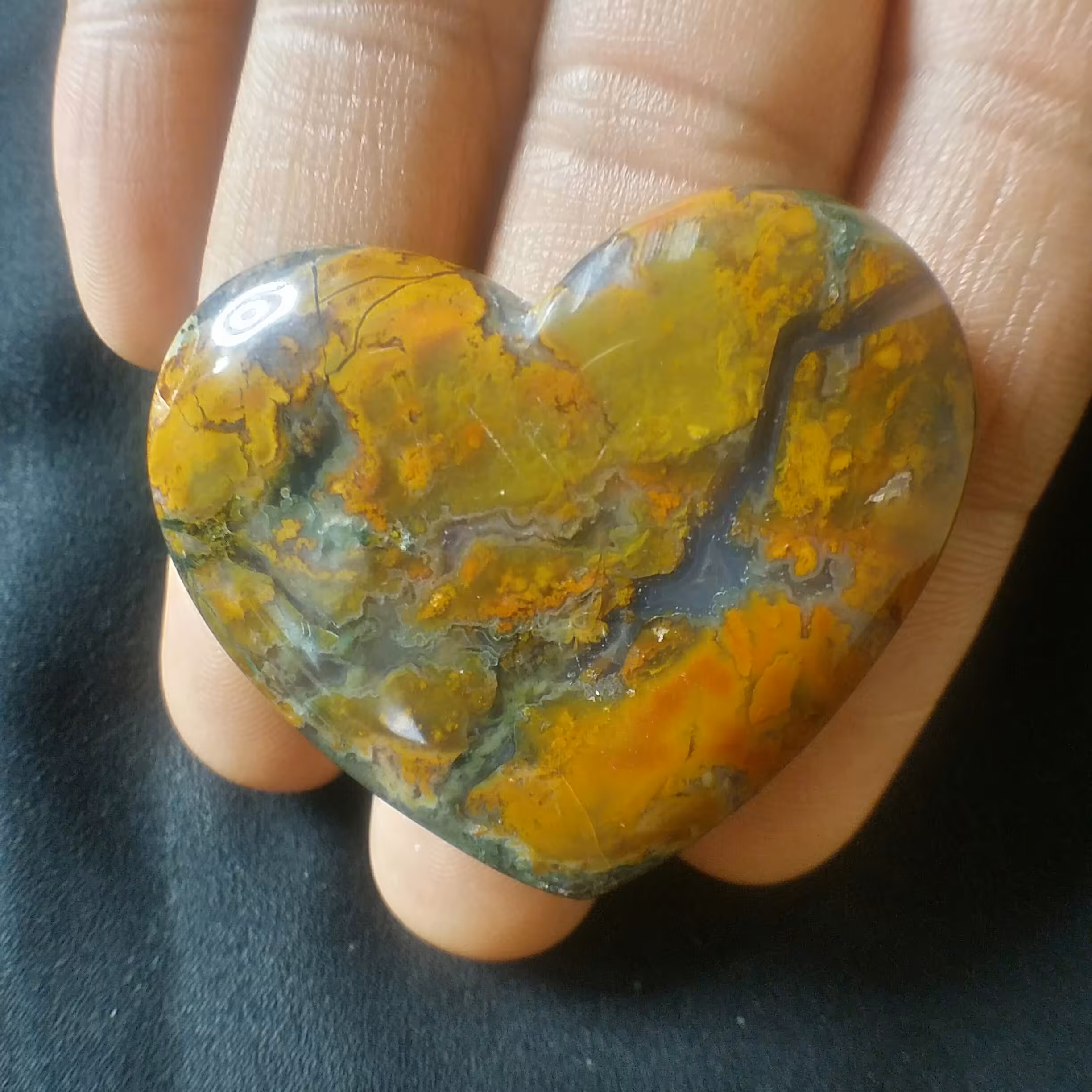 نگین شجر پاییزه تراش قلب شاهکار خلقت خوش رنگ و بسیار زیبا