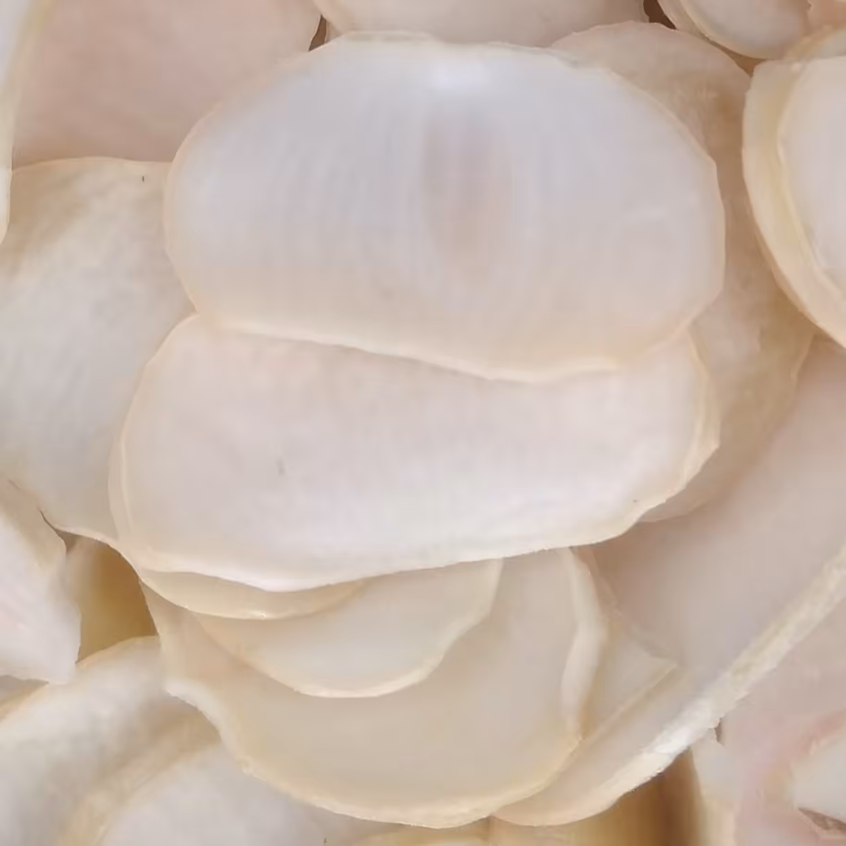 موسیر پلاکی محلی اعلا 50 گرم