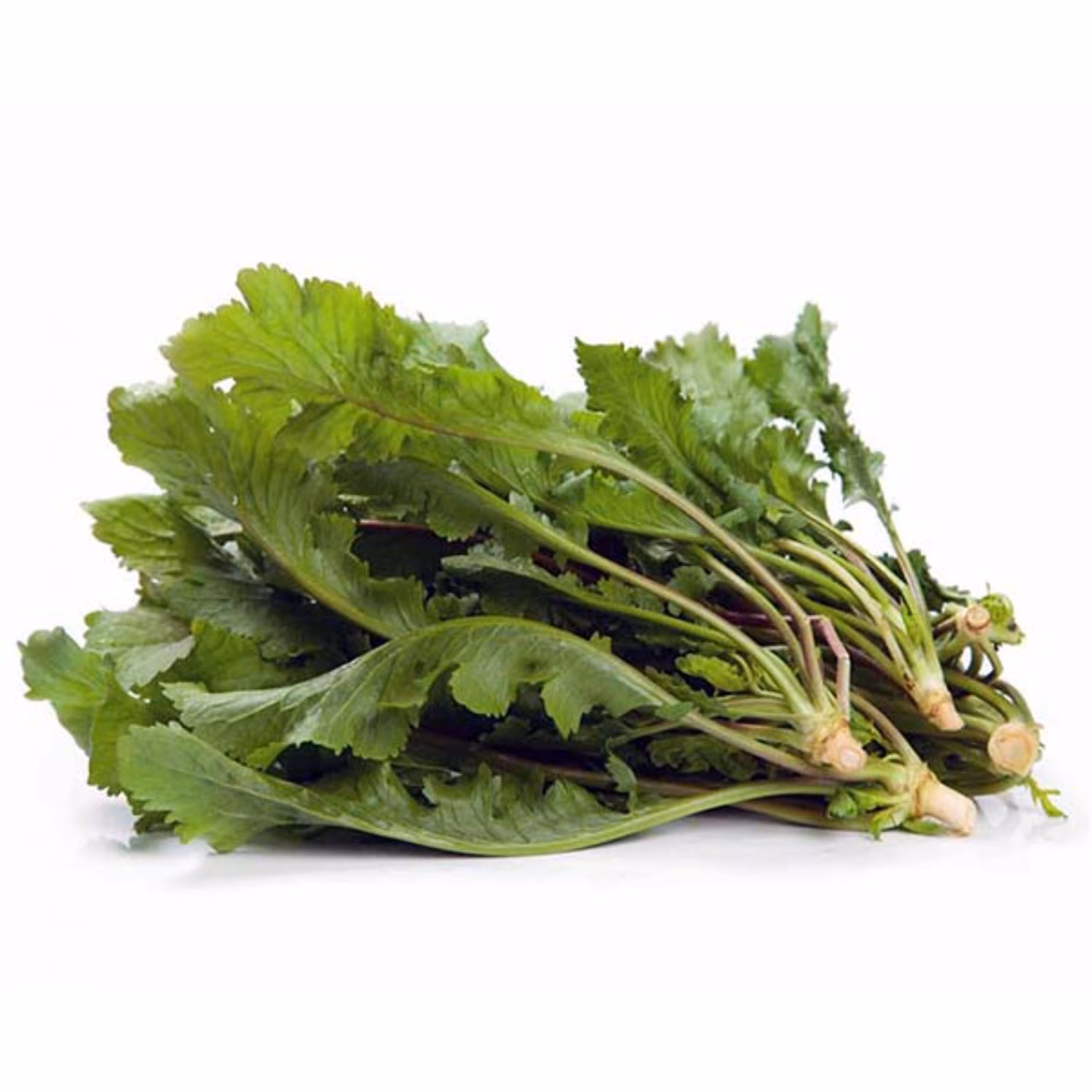بذر سبزی شاهی بسته 10 گرمی 