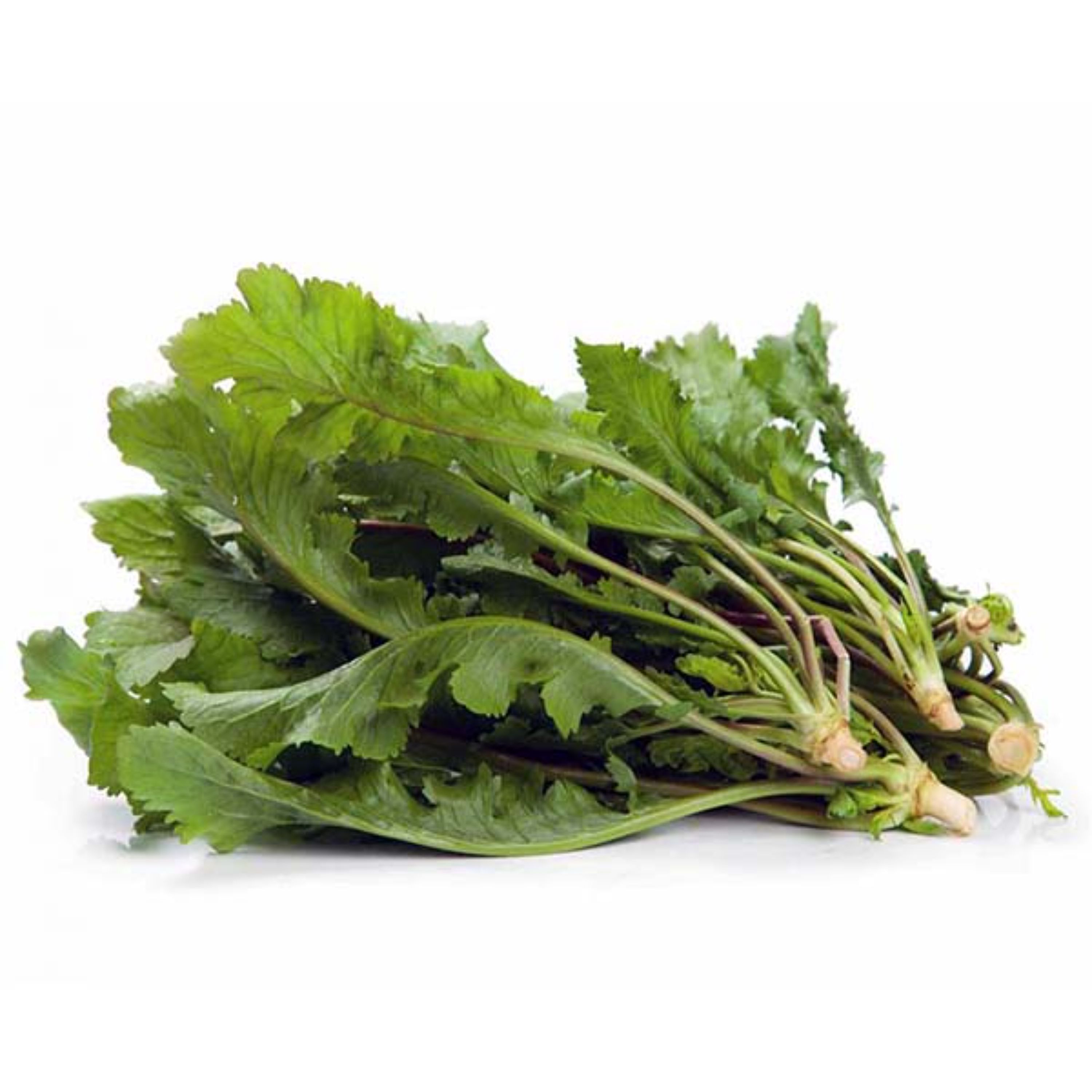 بذر سبزی شاهی بسته 10 گرمی
