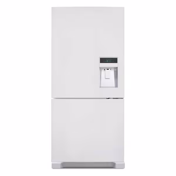 یخچال فریزر اسنوا مدل SN4-2026GW