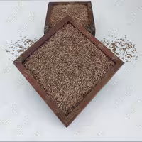 زیره سبز اعلا 500 گرمی گیاهینو