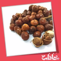 فندق 250گرمی امسالی شاداب