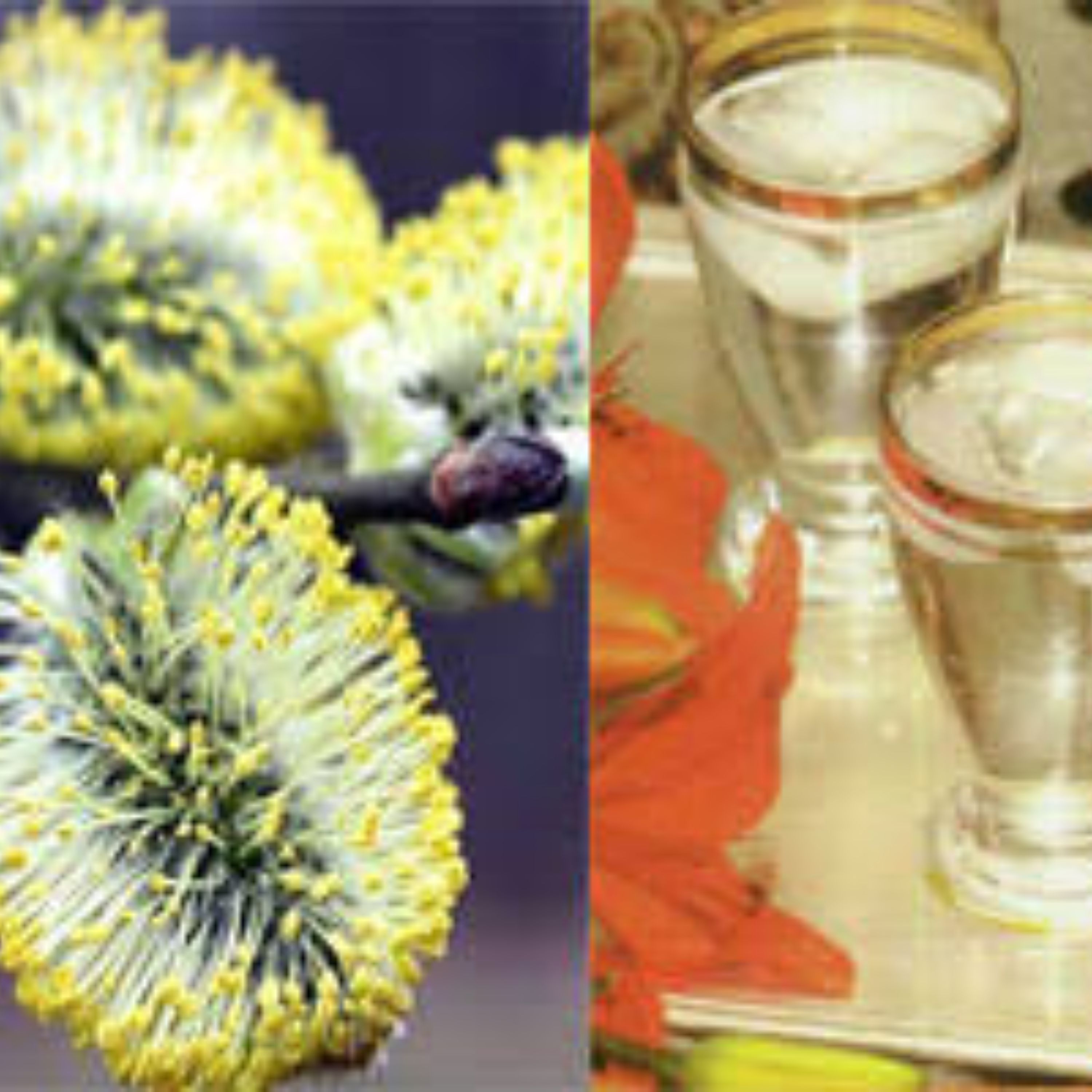عرق خالص و سنتی بیدمشک